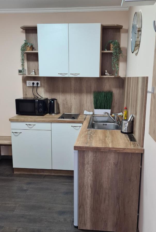 Lucsony Apartman Mosonmagyaróvár エクステリア 写真